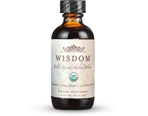 Wisdom Supplement Buy